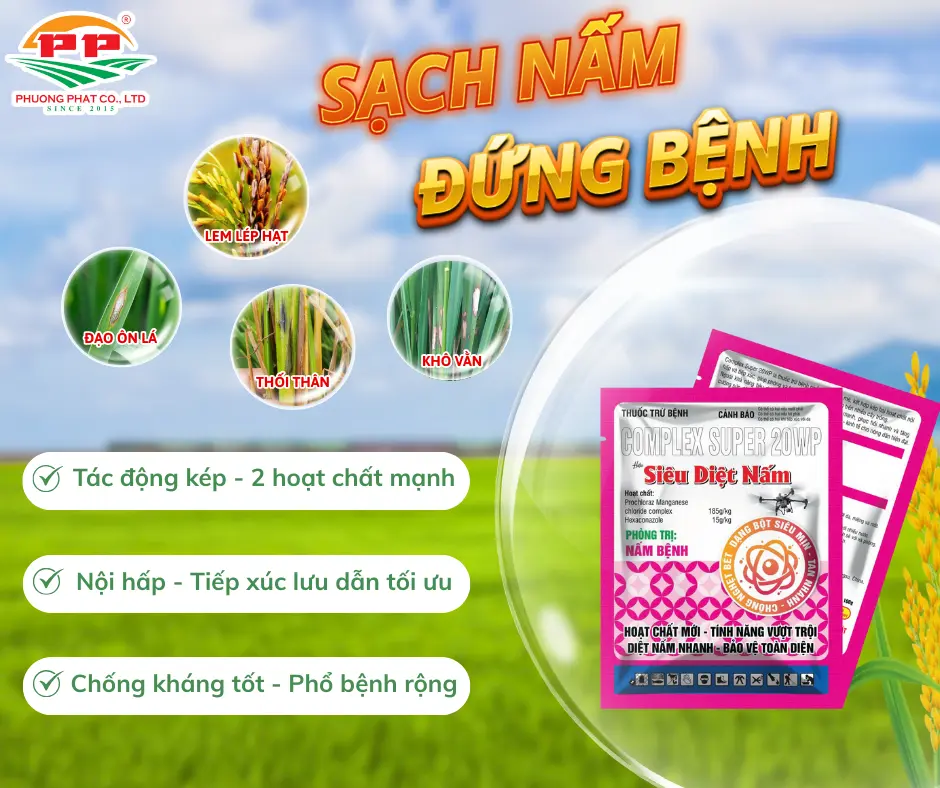 COMPLEX SUPER 20WP – Giải pháp siêu diệt nấm, sạch bệnh, cây khỏe mạnh 🌾