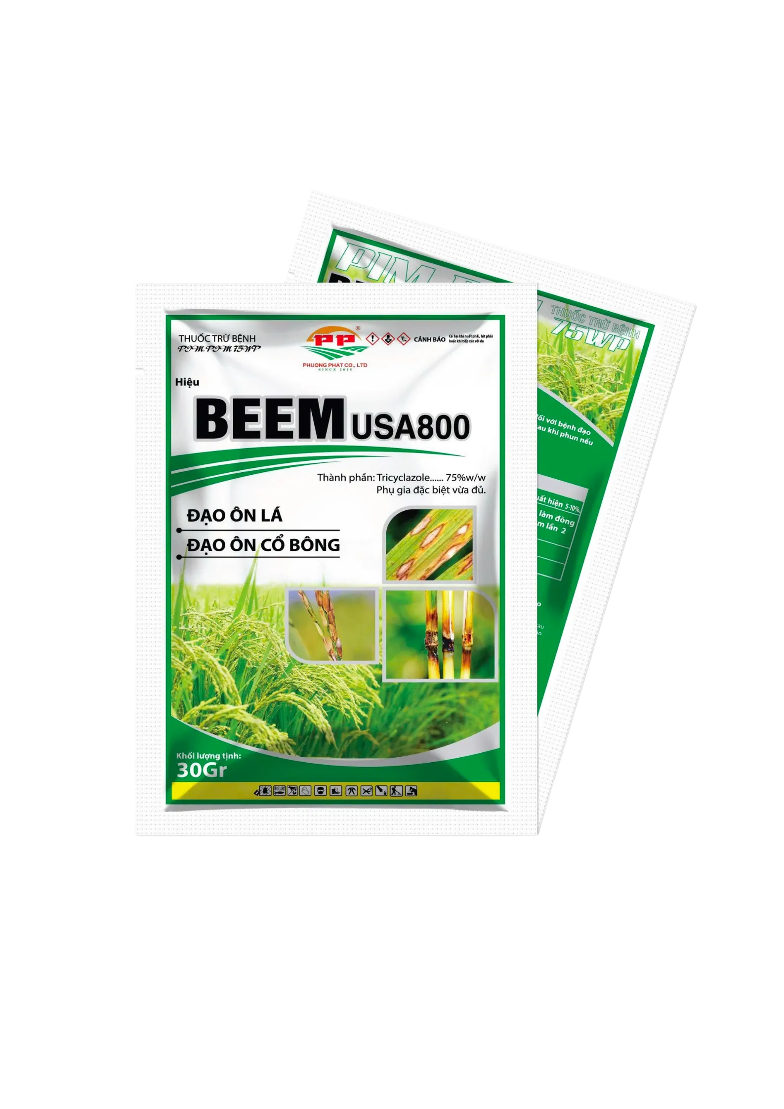 BEEM USA