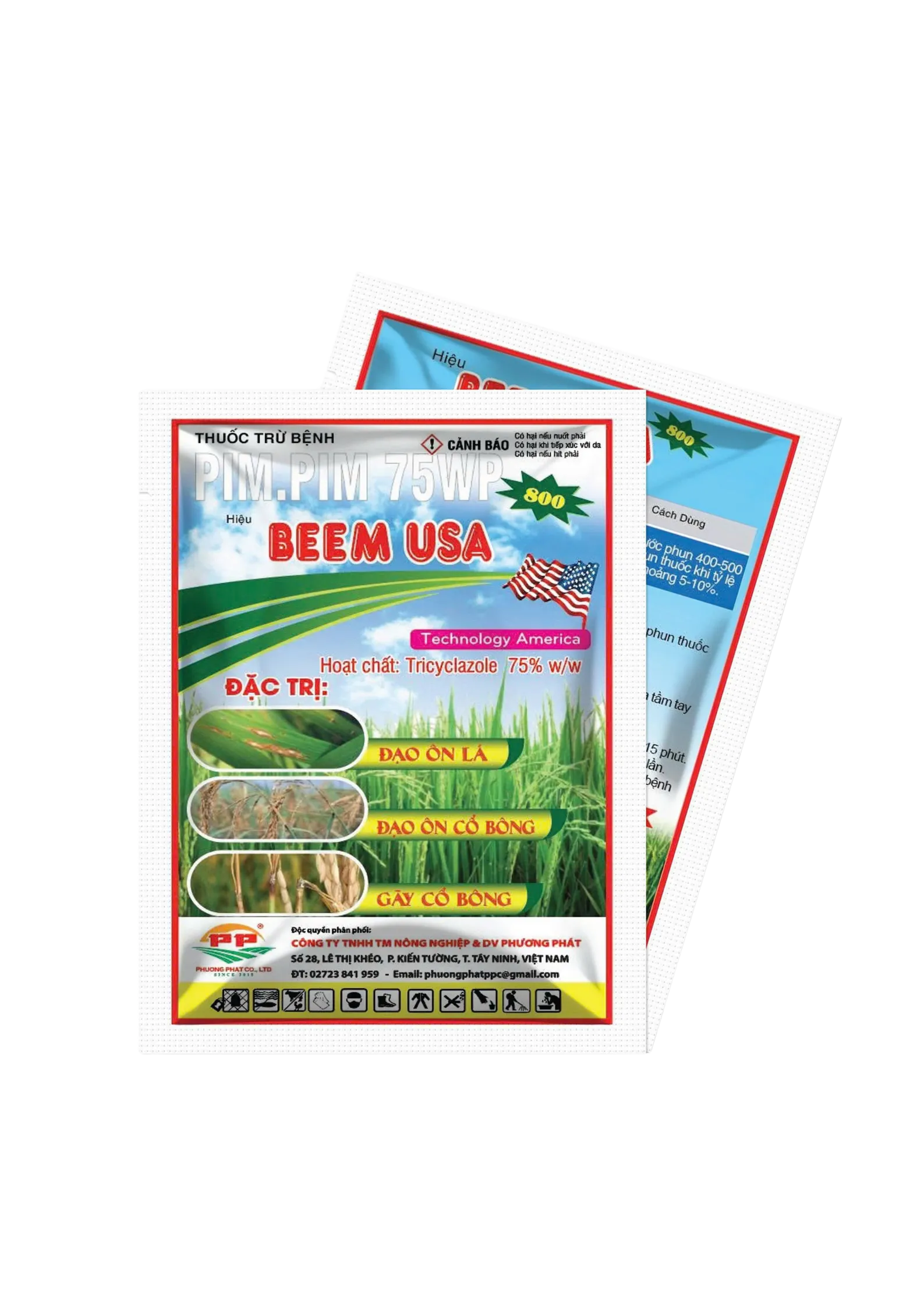 BEEM USA 2