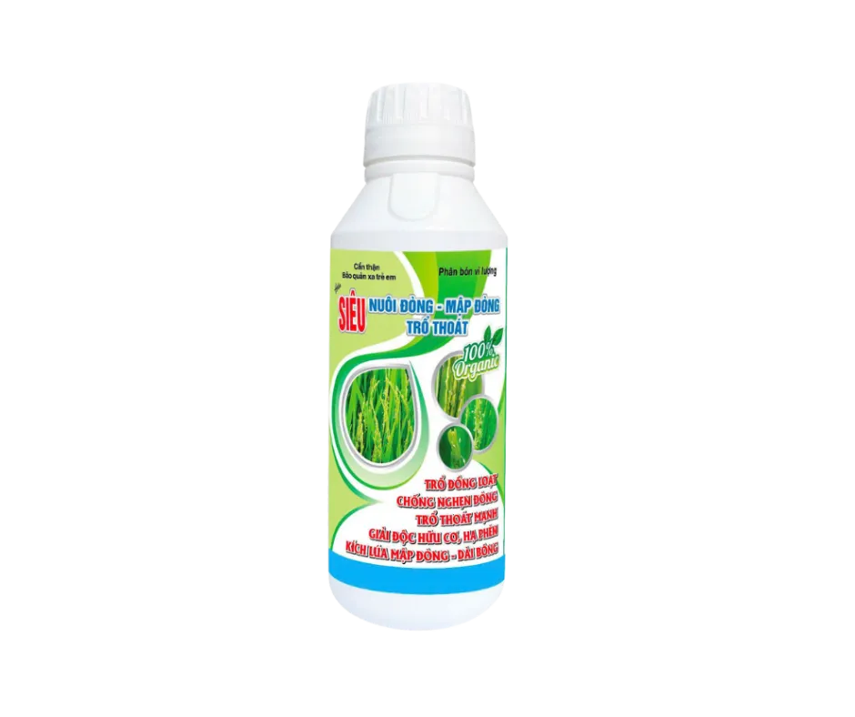 SIÊU NUÔI ĐÒNG - MẬP ĐÒNG