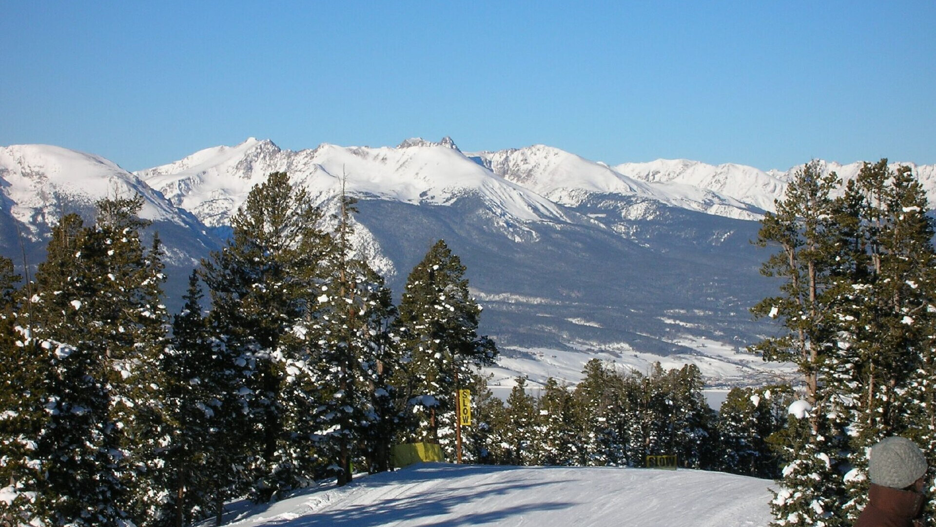 Präparierte Piste Schoolmarm in Keystone zwischen verschneiten Kiefern, dahinter die Tenmile Range