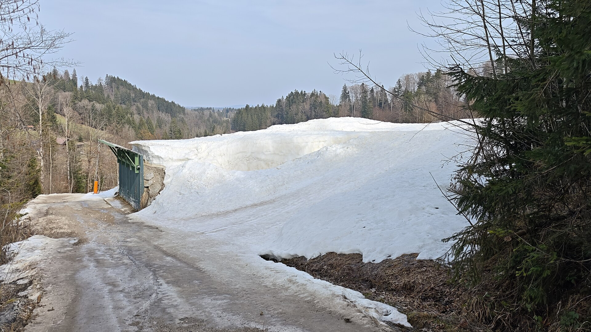 Ein großer Haufen gelagerter Schnee neben einem Forstweg in den Bayerischen Voralpen im Vorfrühling
