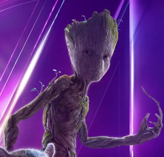 Groot