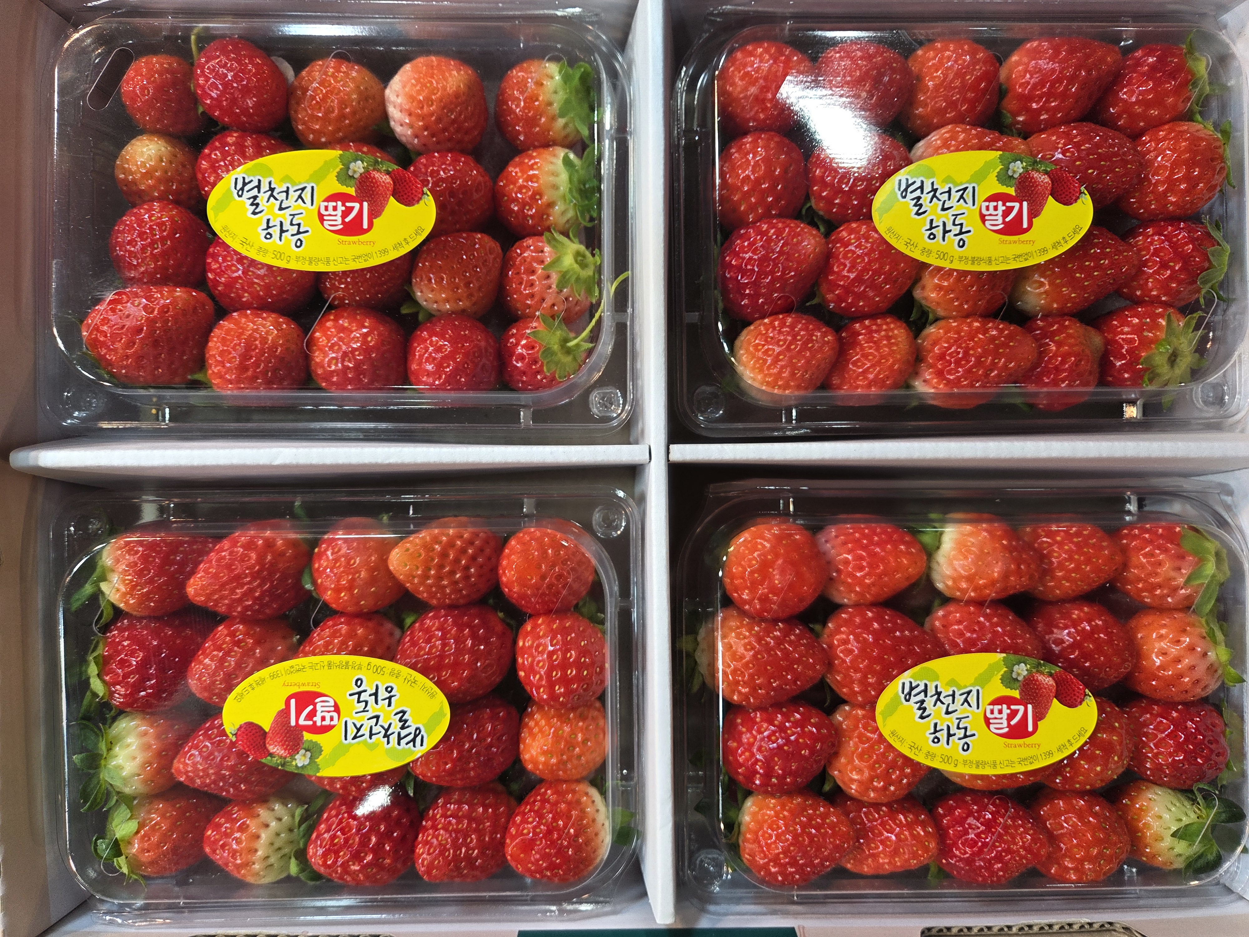 설향팩딸기 4*5사이즈