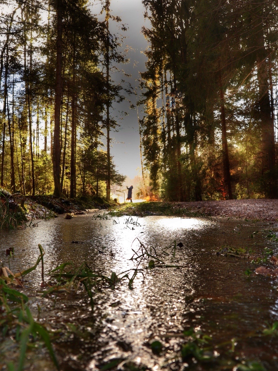 Tiefstehende Sonne spiegelt sich in gefrorener Pfütze im Schwarzwald