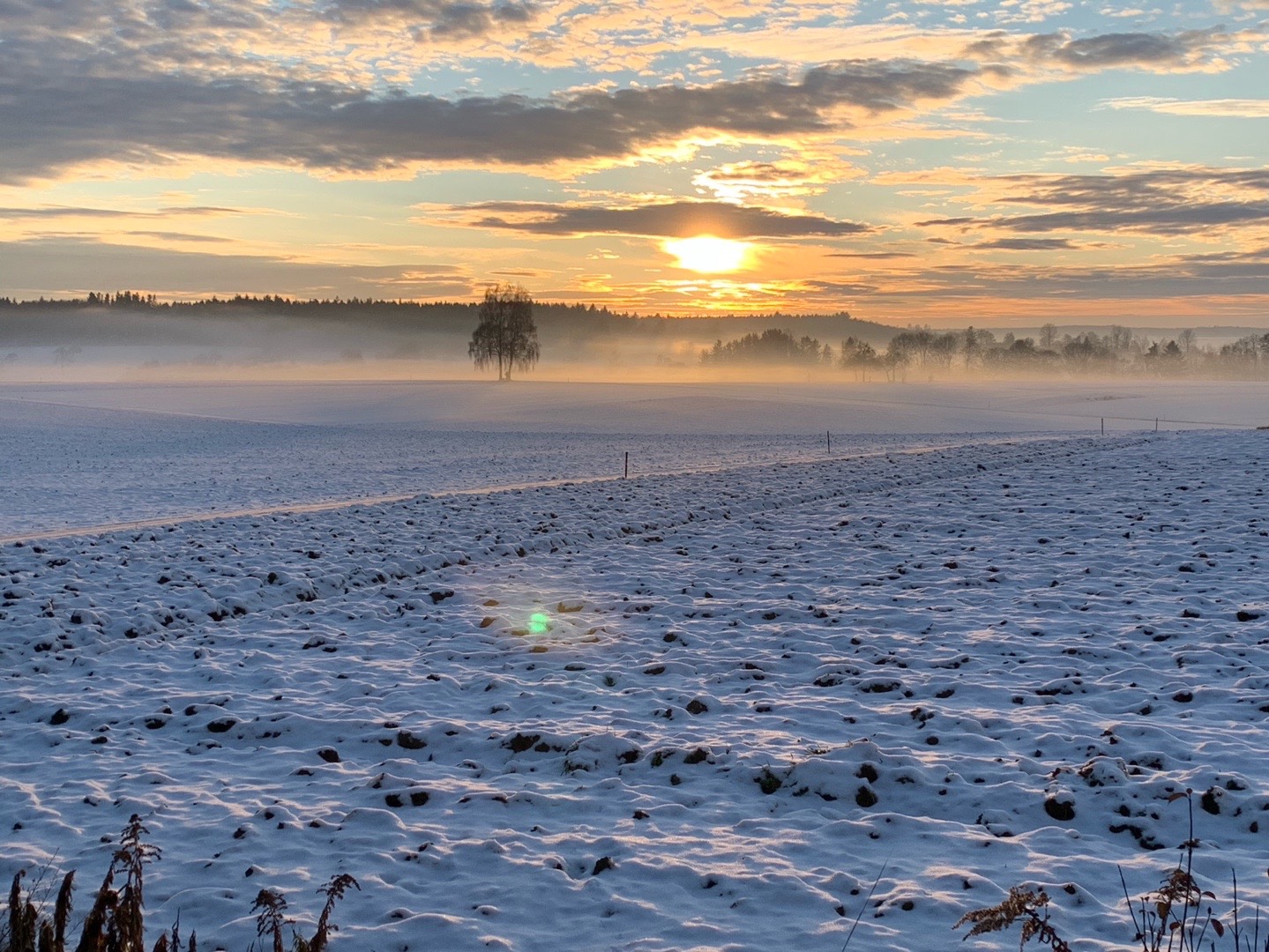 Nebliger Wintersonnenaufgang über Feldern bei Mengen
