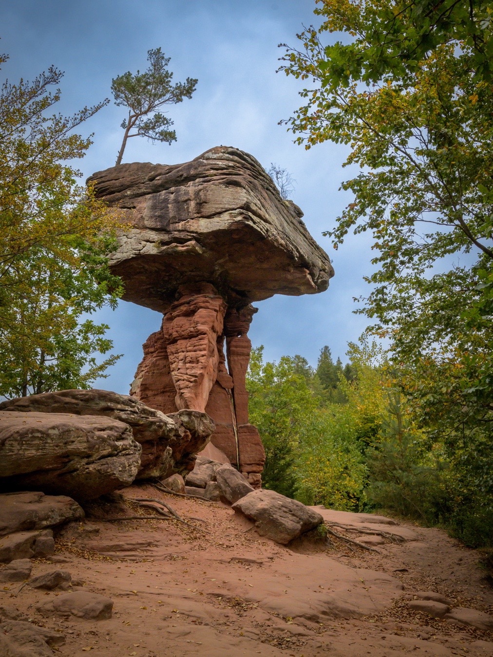 Die pilzförmige Felsformation Teufelstisch im Pfälzerwald