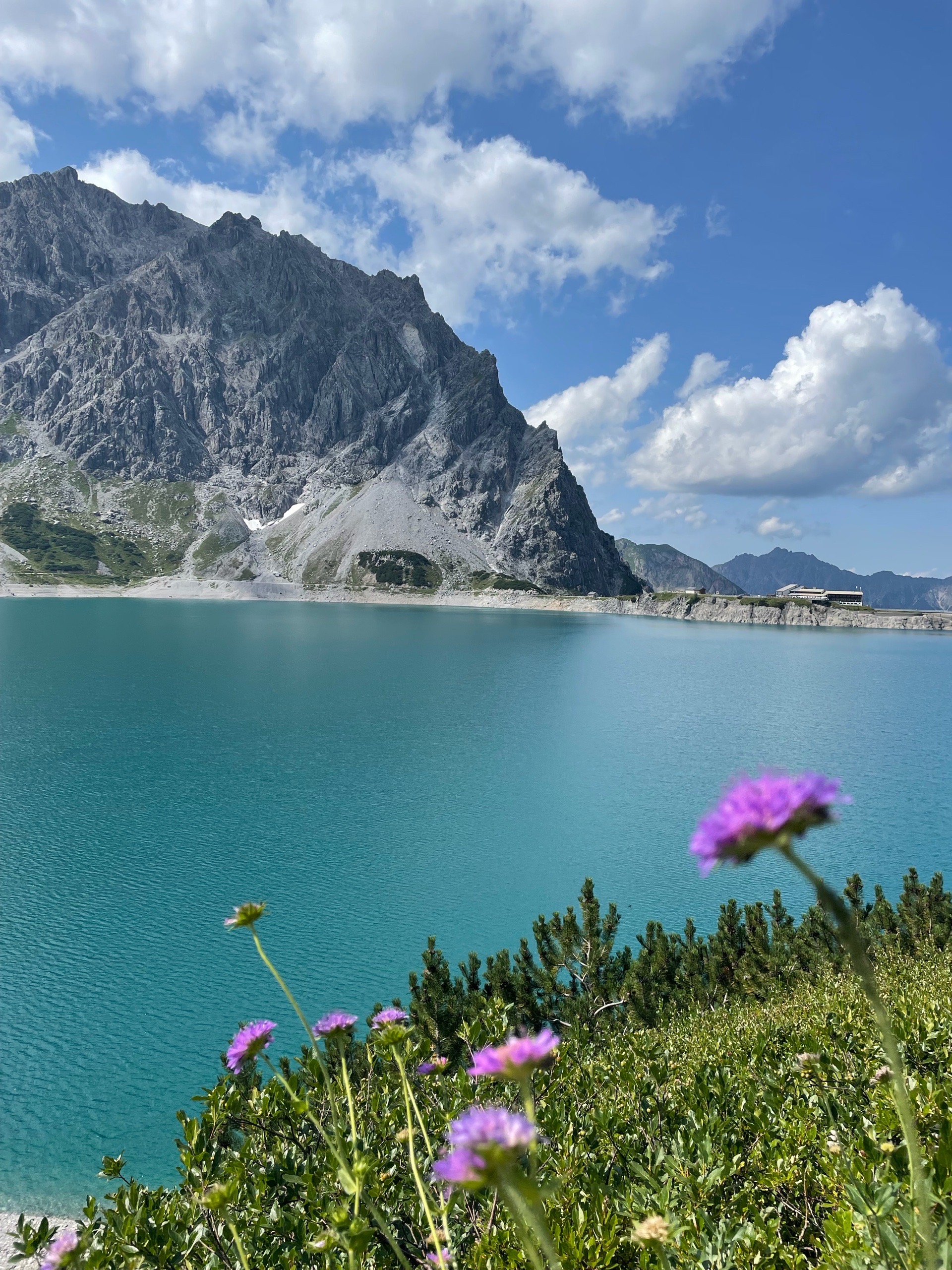 Türkiser Lünersee in Vorarlberg mit Bergkulisse und Wildblumen