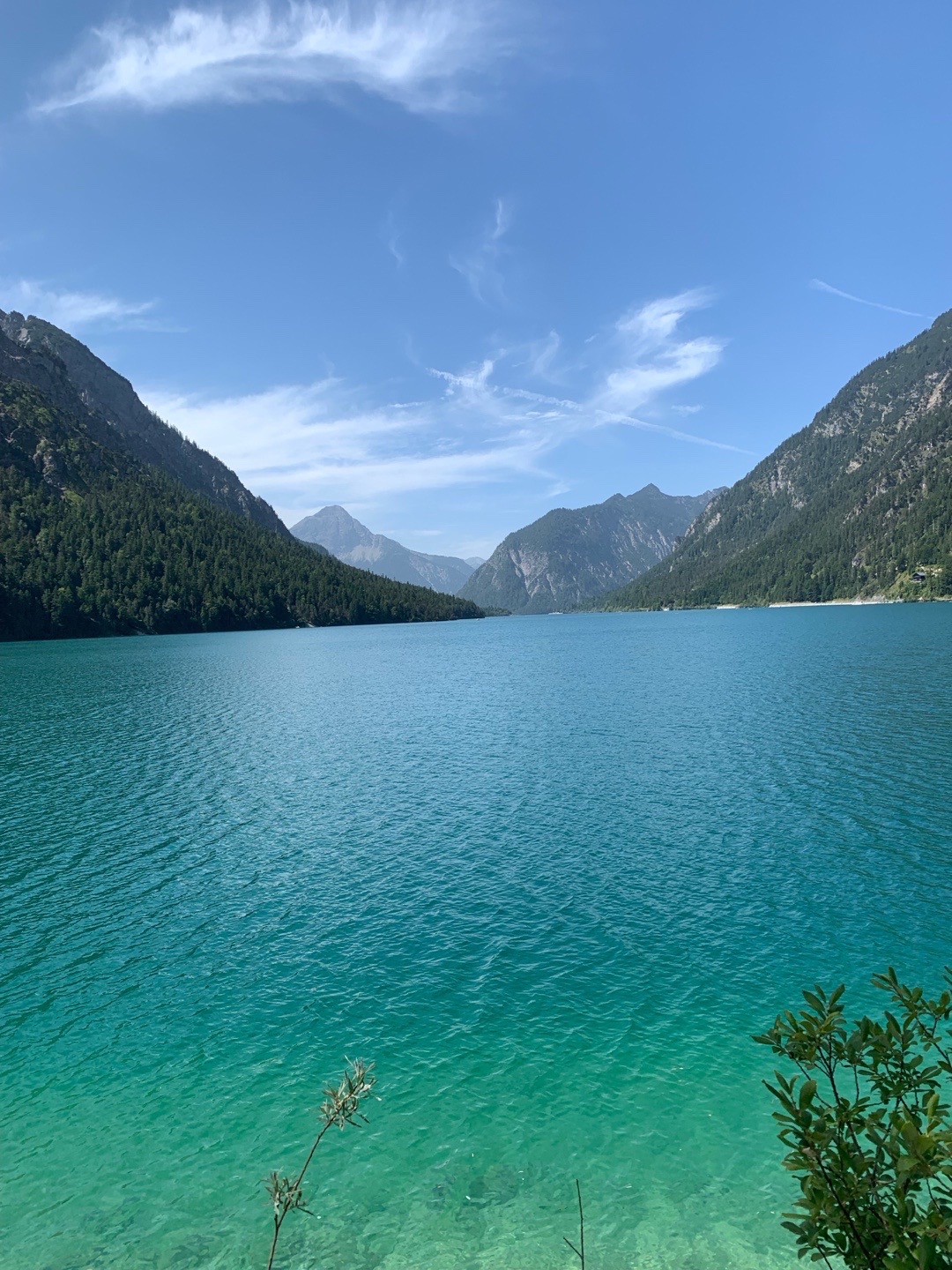 Türkises Wasser des Plansees in Tirol