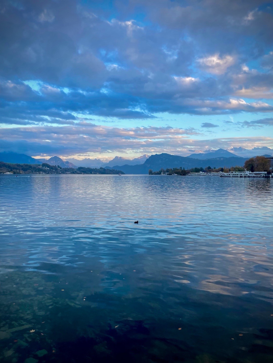 Vierwaldstättersee in der blauen Stunde mit Bergen im Hintergrund
