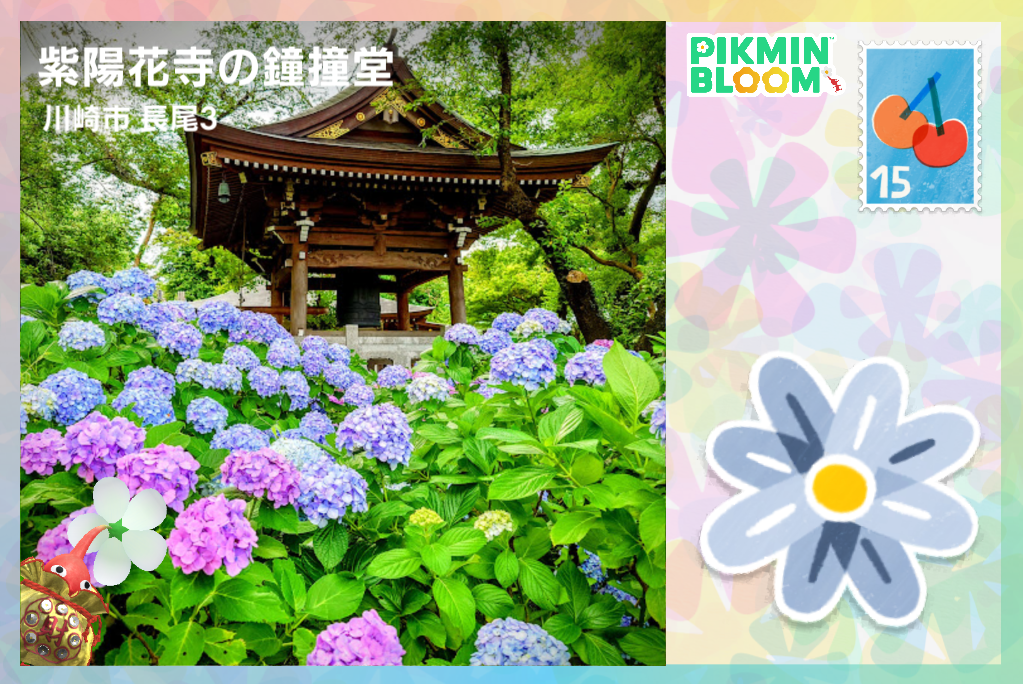 妙樂寺 鐘樓（紫陽花寺の鐘撞堂）