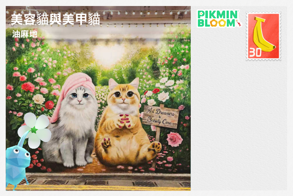 美容貓與美甲貓