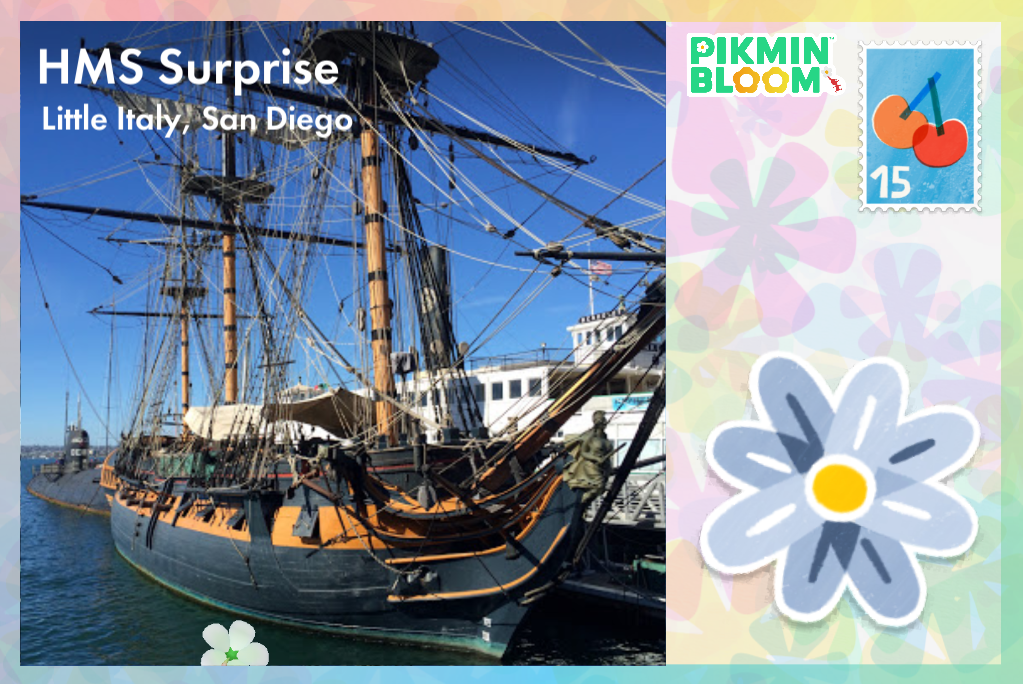HMS surprise