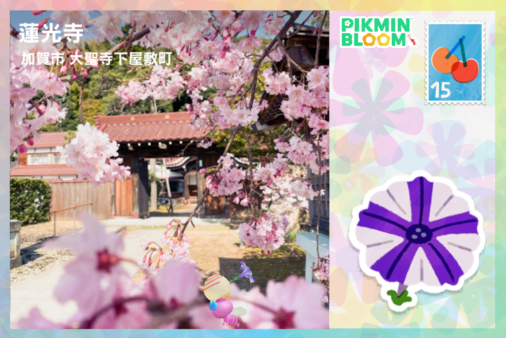 蓮光寺