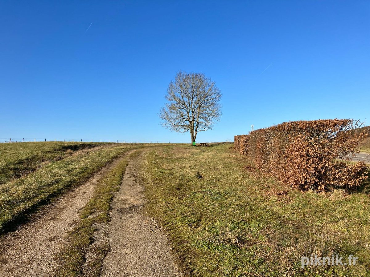 Chemin du Corps de garde