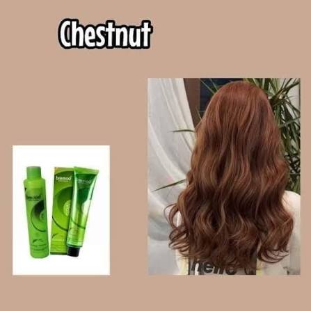 Bremod Professional SPA Hair Color Cream Chestnut Brown