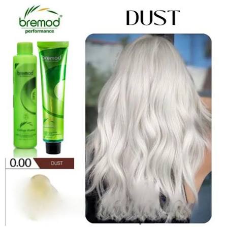 Bremod Professional SPA Hair Color Cream Dust Color