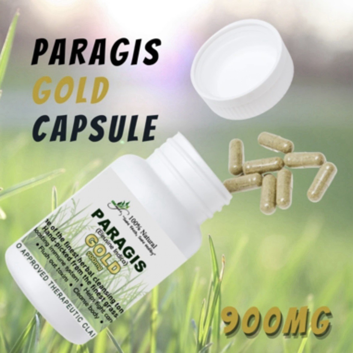 Chef Ayb's Paragis Gold Capsules
