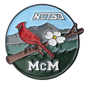 2024 McMichael HS