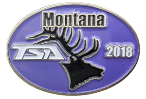 2018 MT