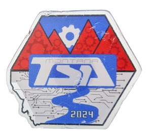 2024 MT