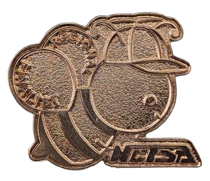 NC - Bronze Finalist