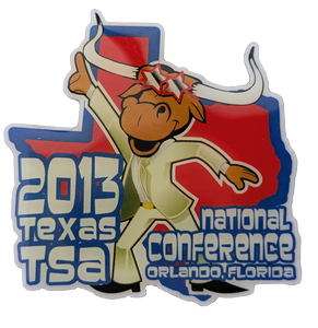 2013 TX