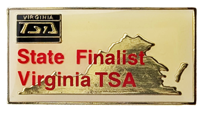 VA Finalist