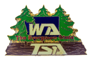 2007 WA