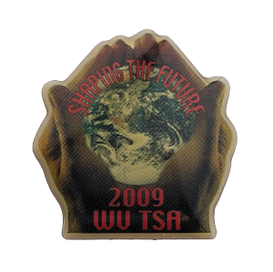 2009 WV