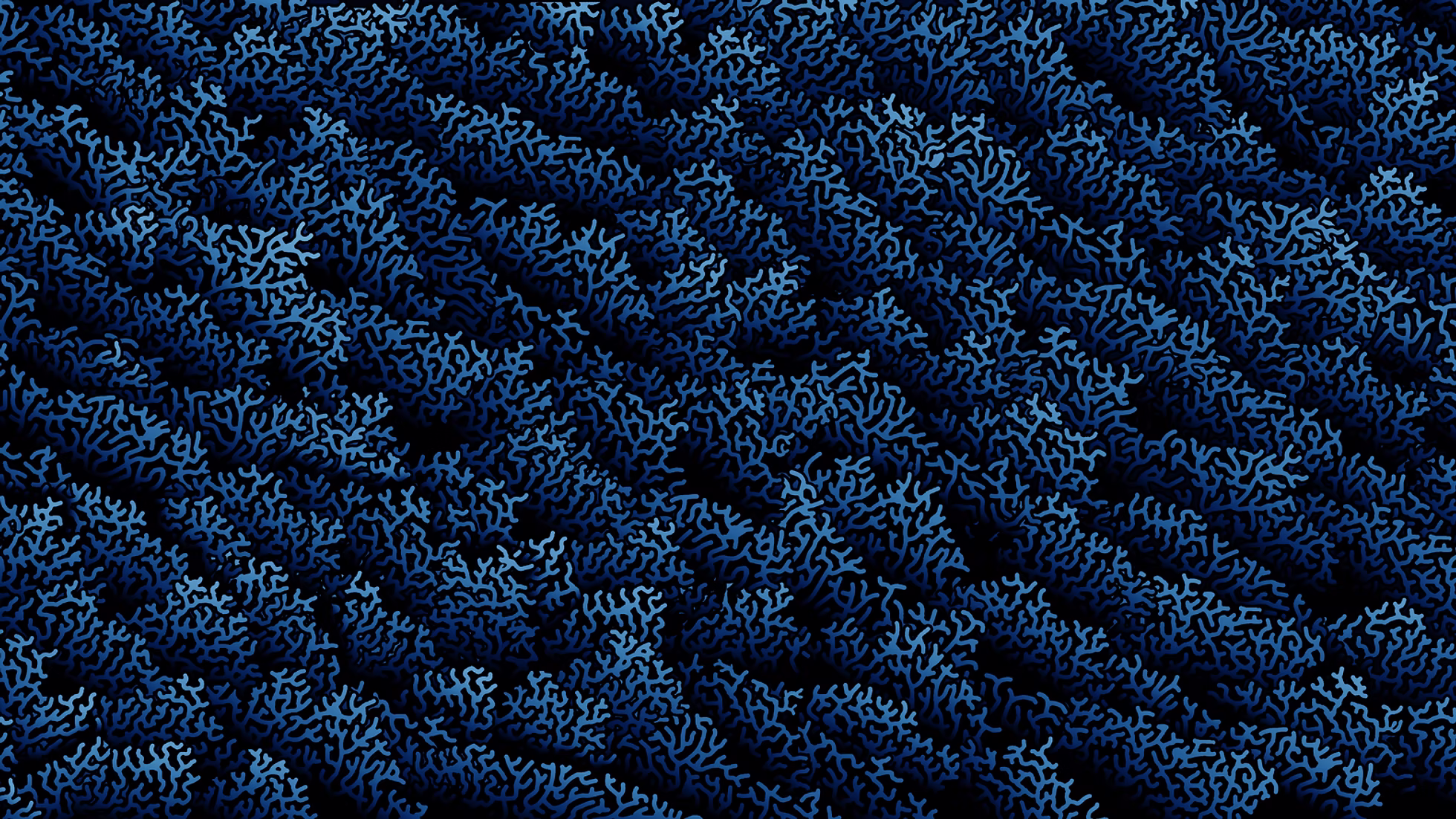 Coral Blue