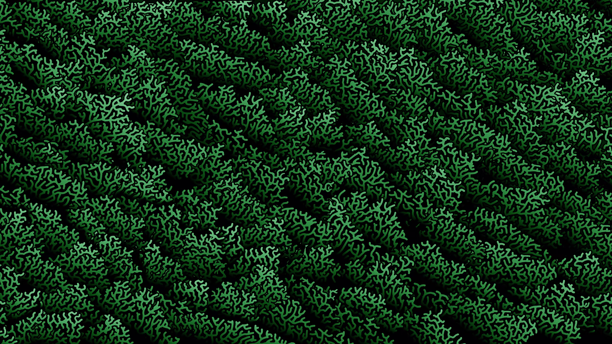 Coral Green
