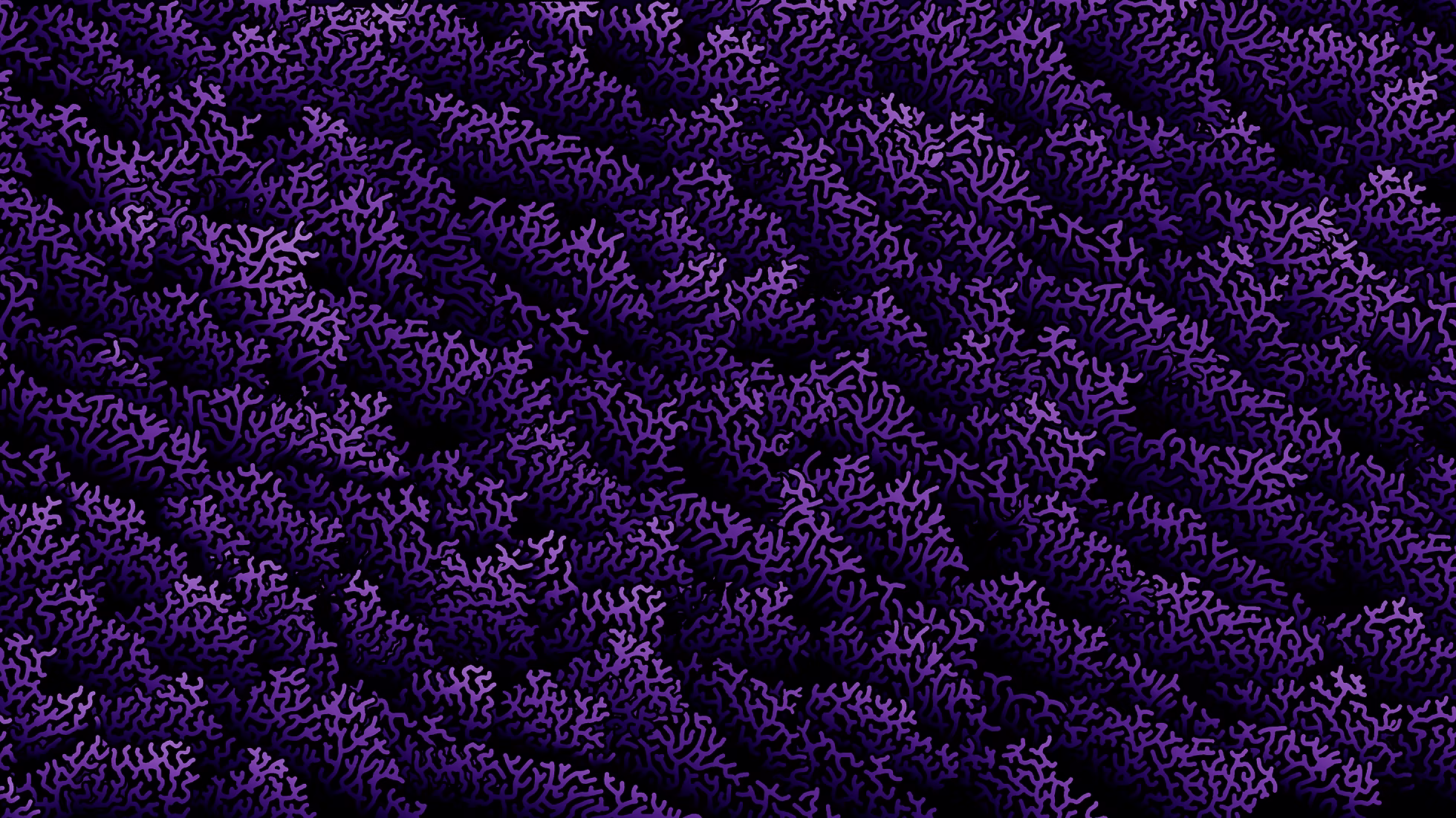 Coral Purple