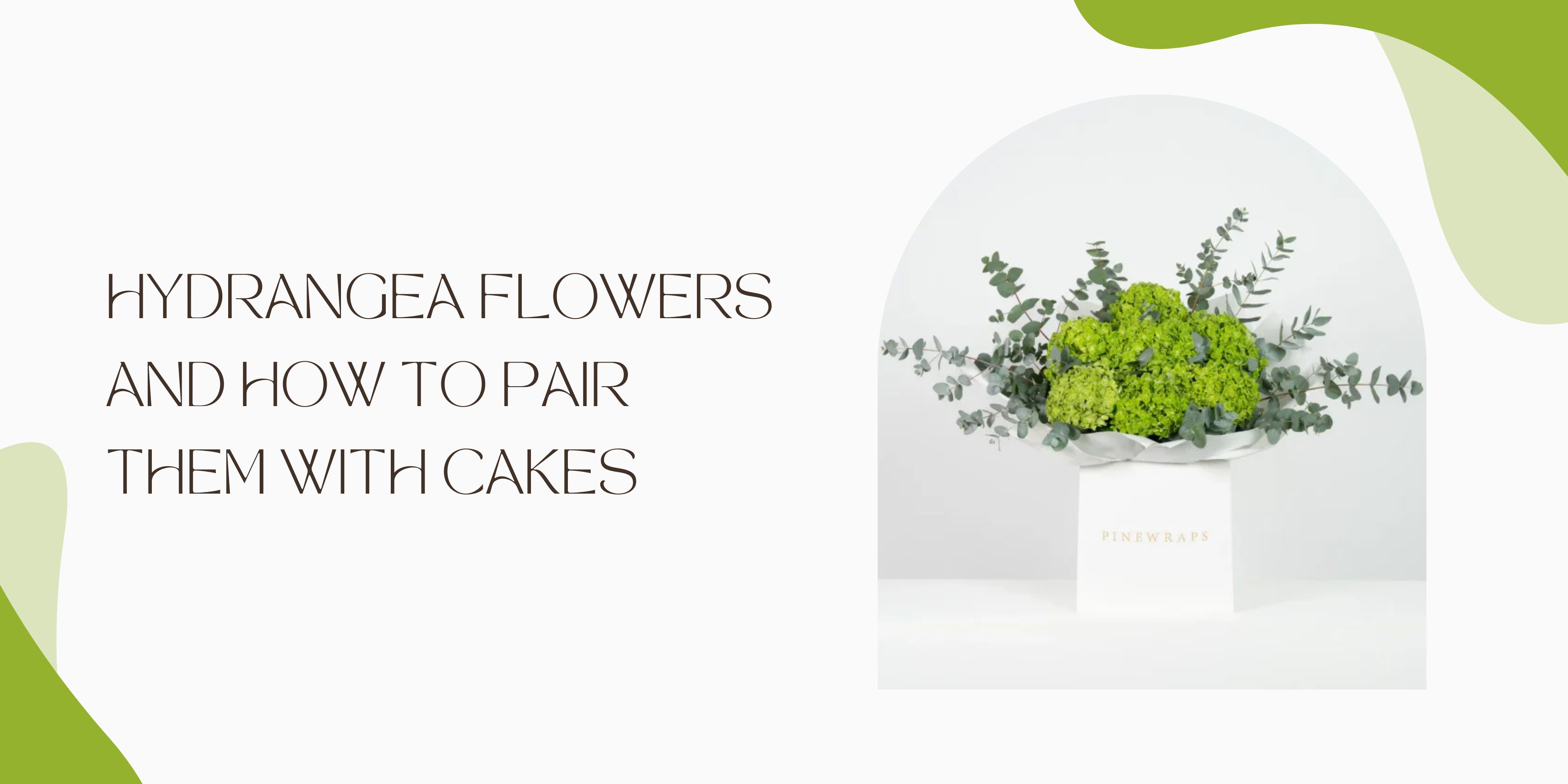 Hydrangea Flowers: Colors, Meanings, and How to Pair Them with Cakes
