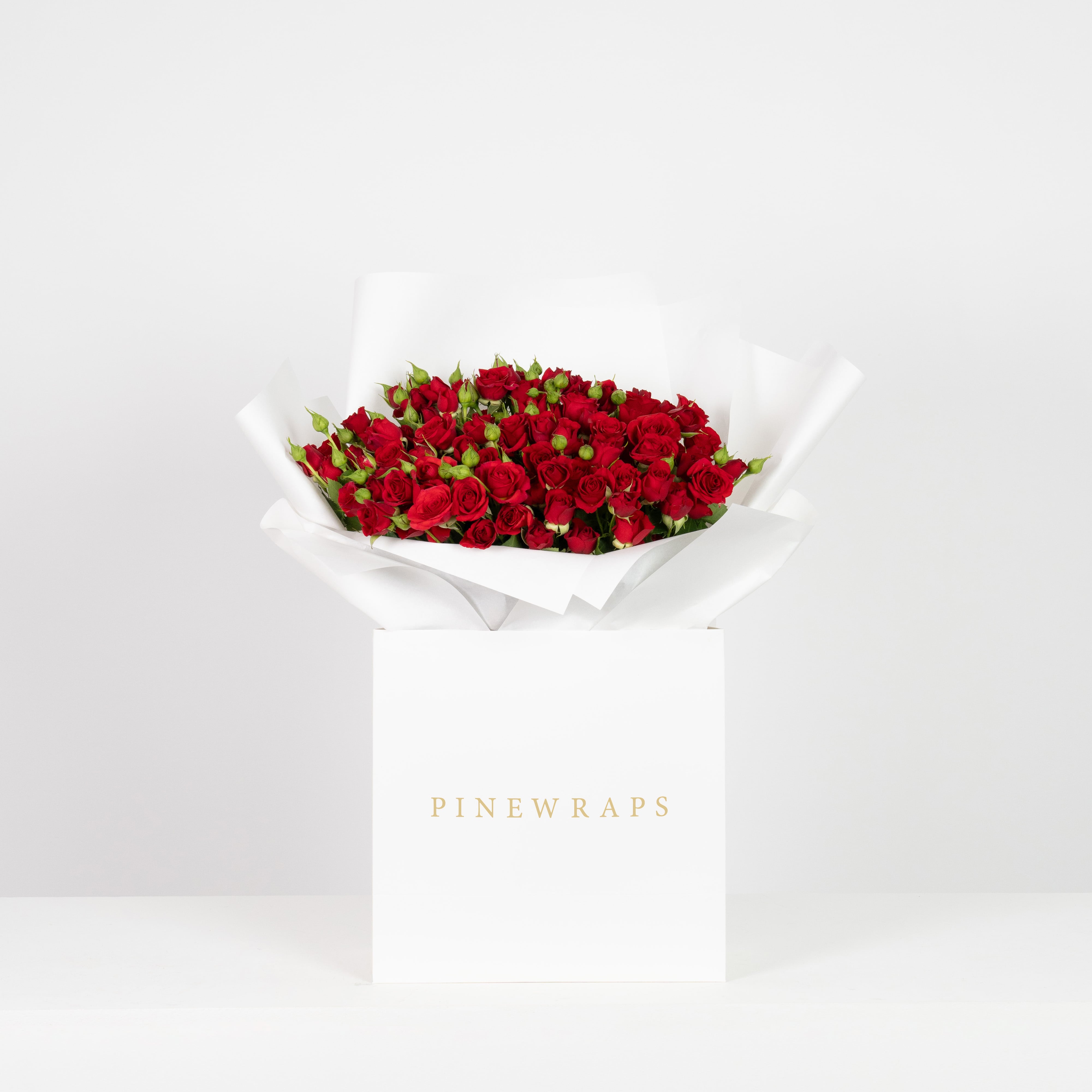 Rosy Reverie - Red