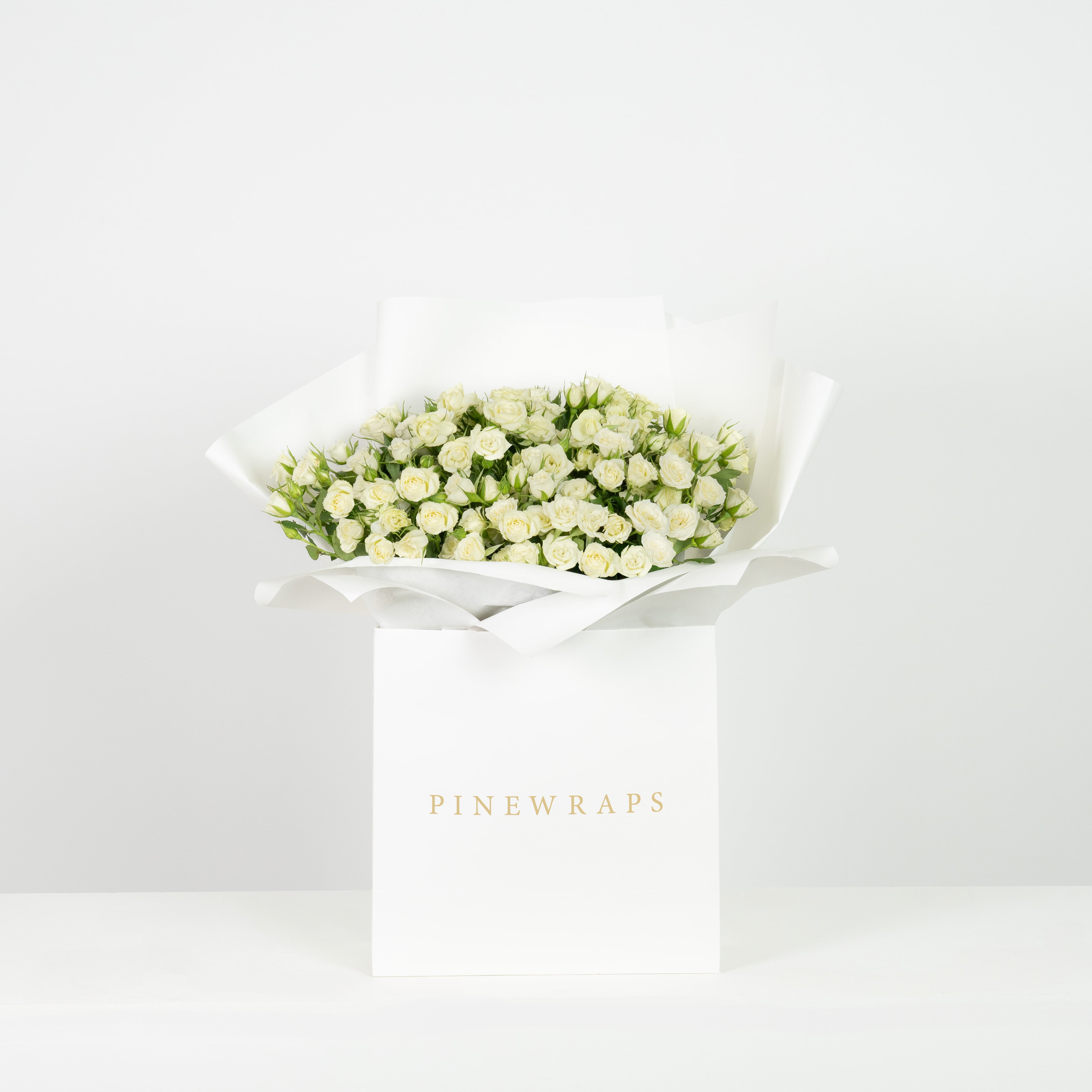 Rosy Reverie - White