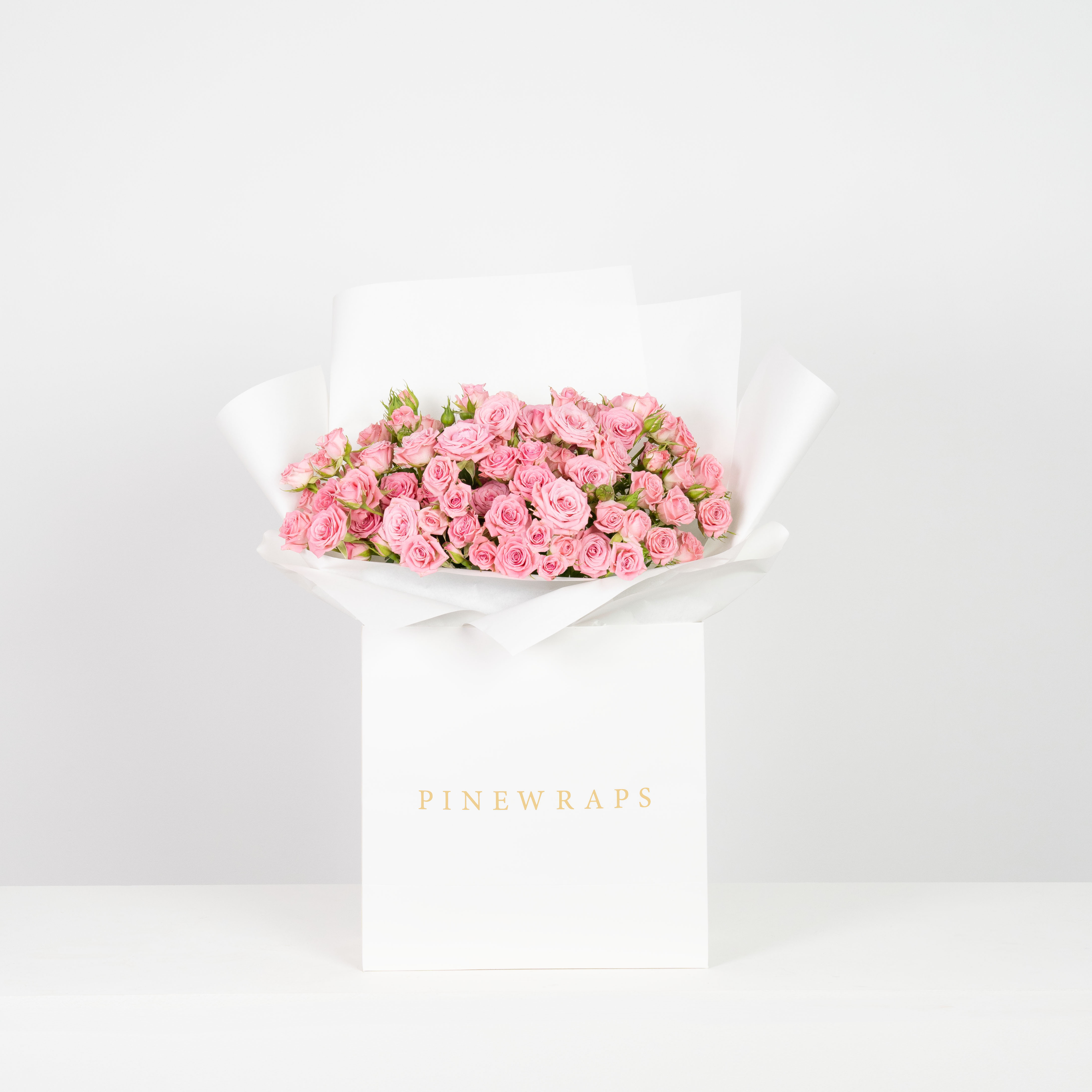 Rosy Reverie - Pink