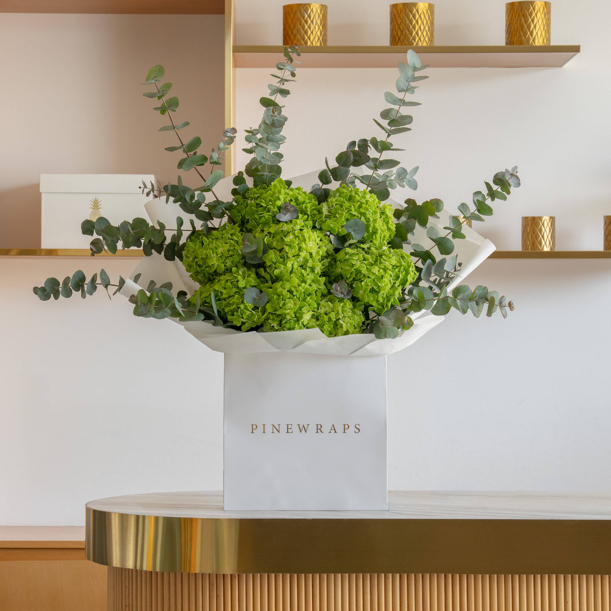 Green Hydrangea Garden