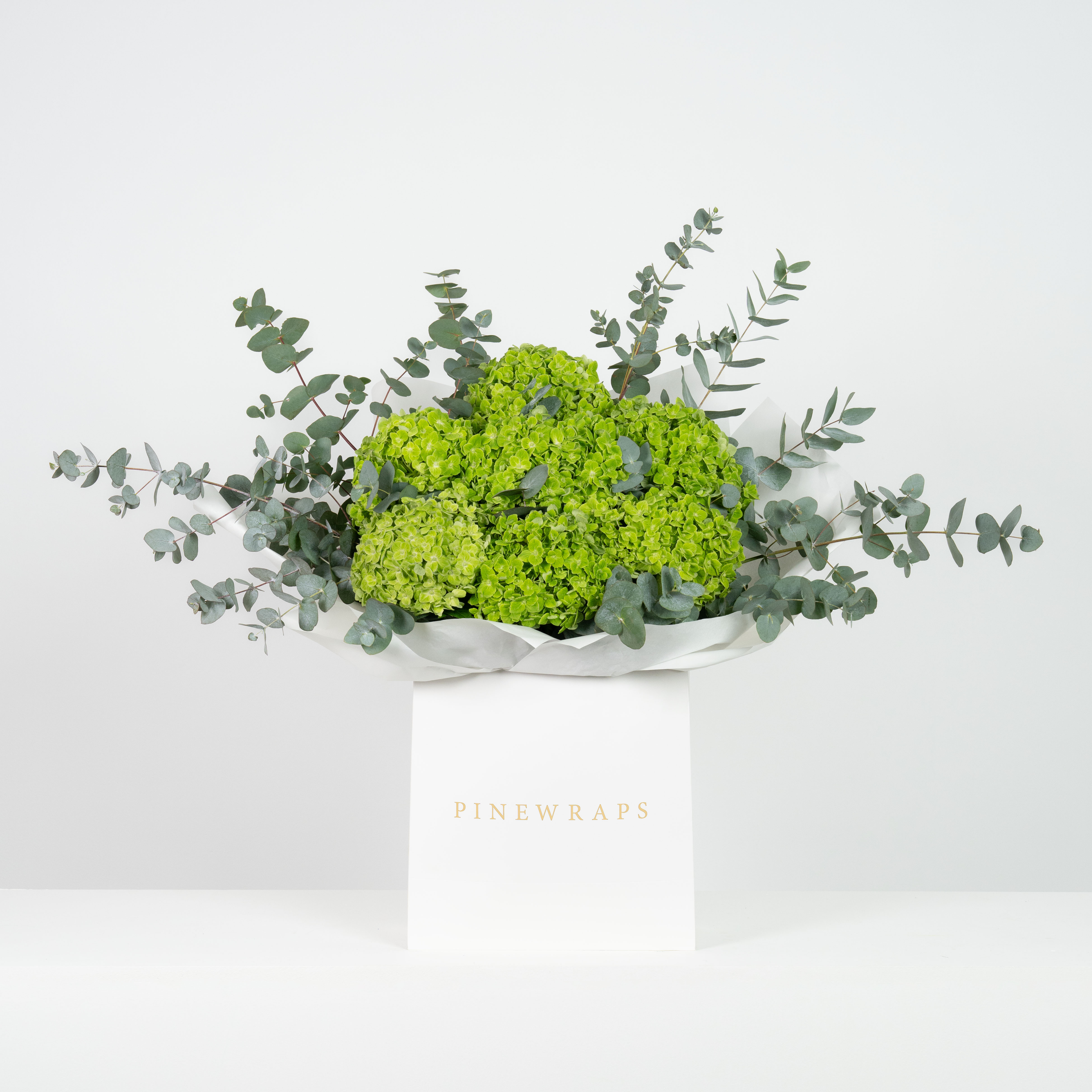 Green Hydrangea Garden