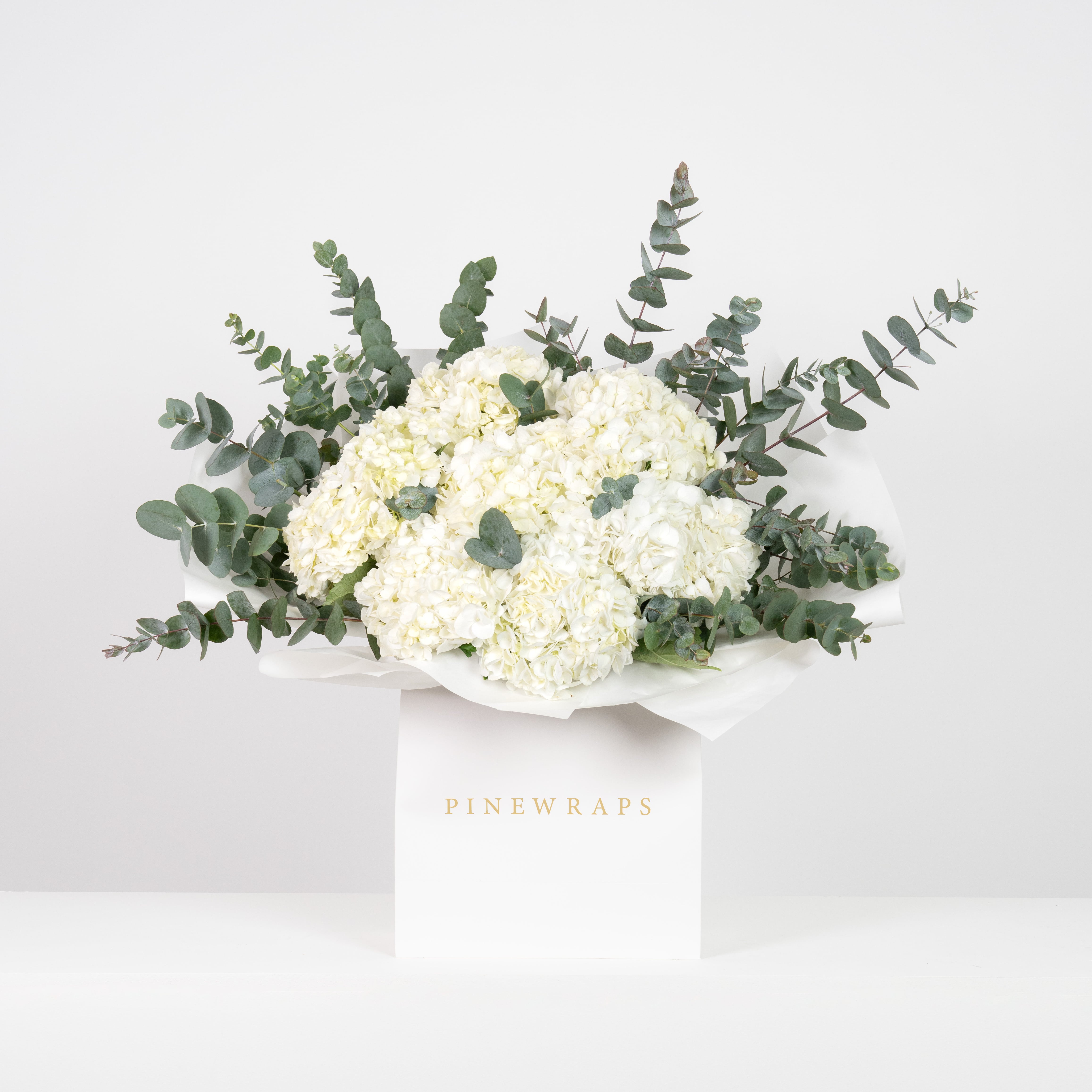 White Hydrangea Garden