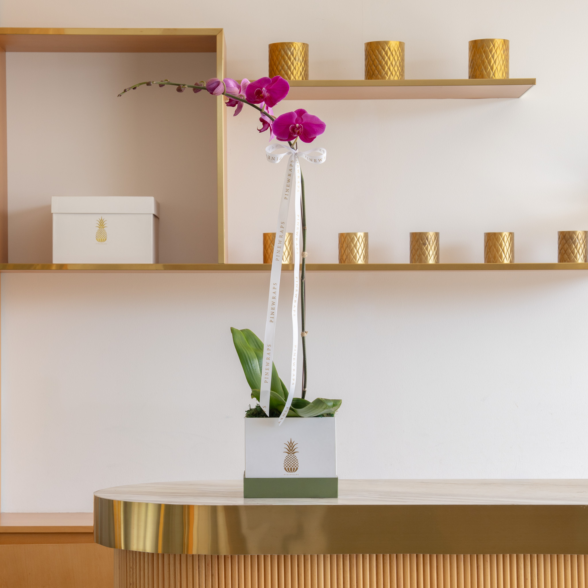 Orchid Box Single Purple