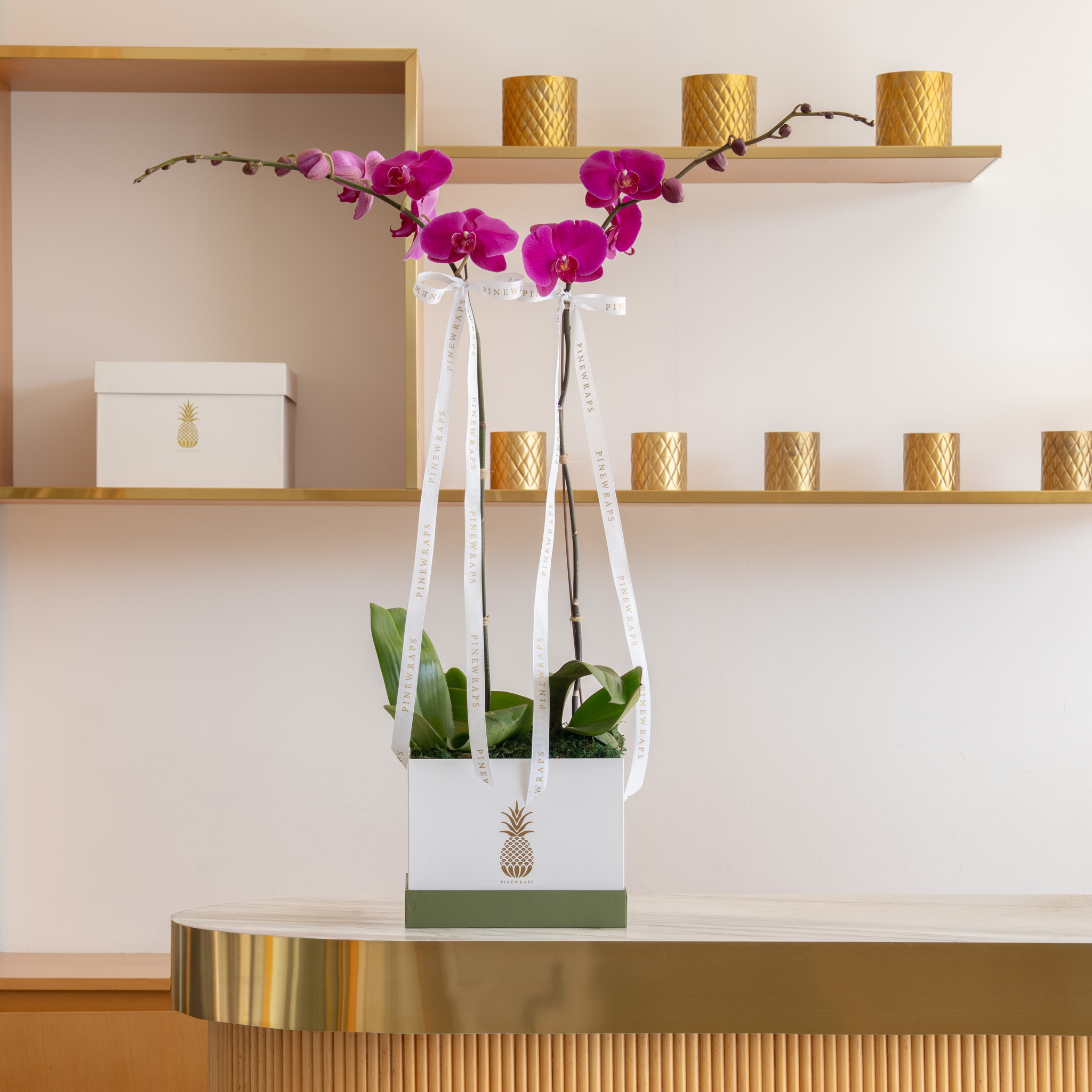 Orchid Box Double Purple