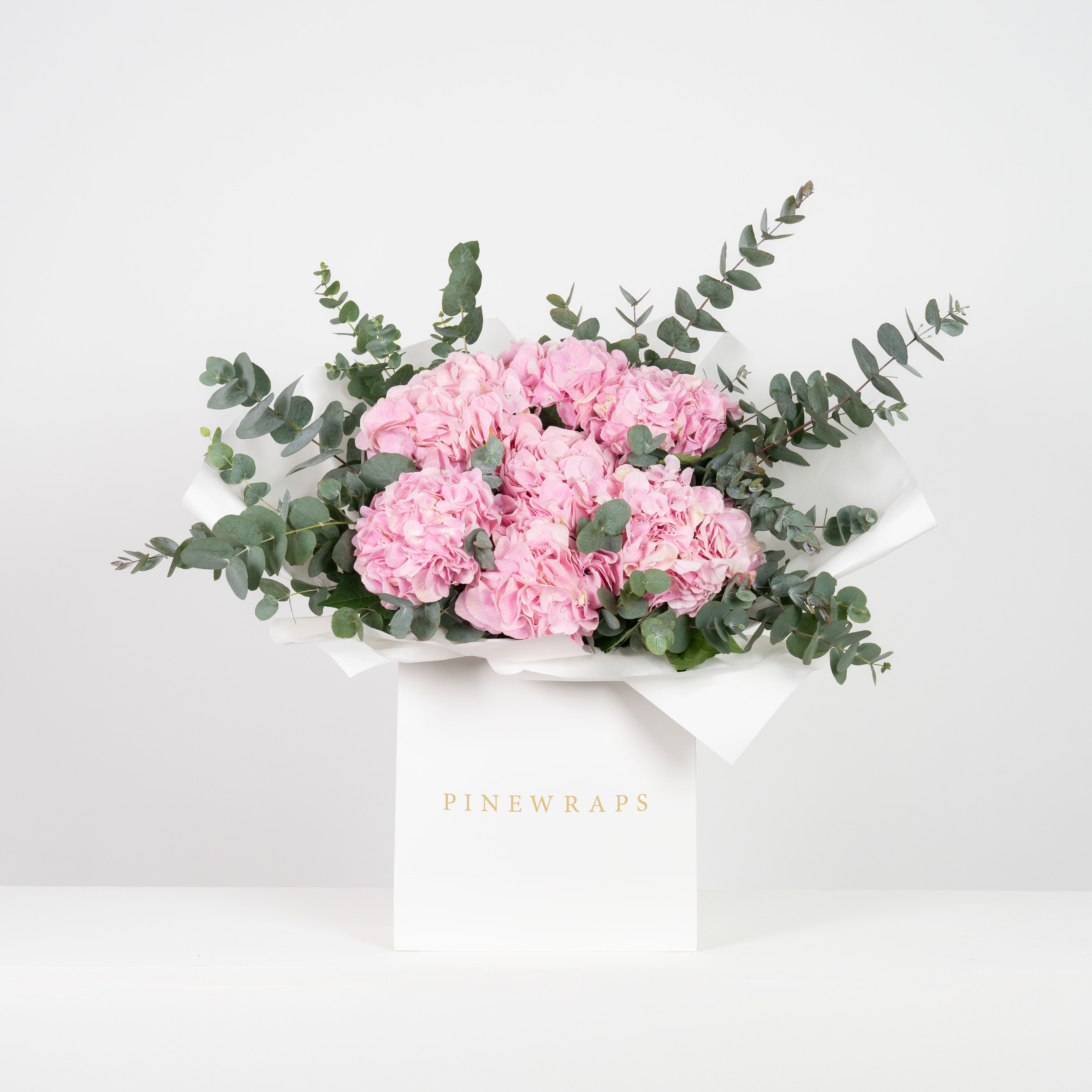 Pink Hydrangea Garden
