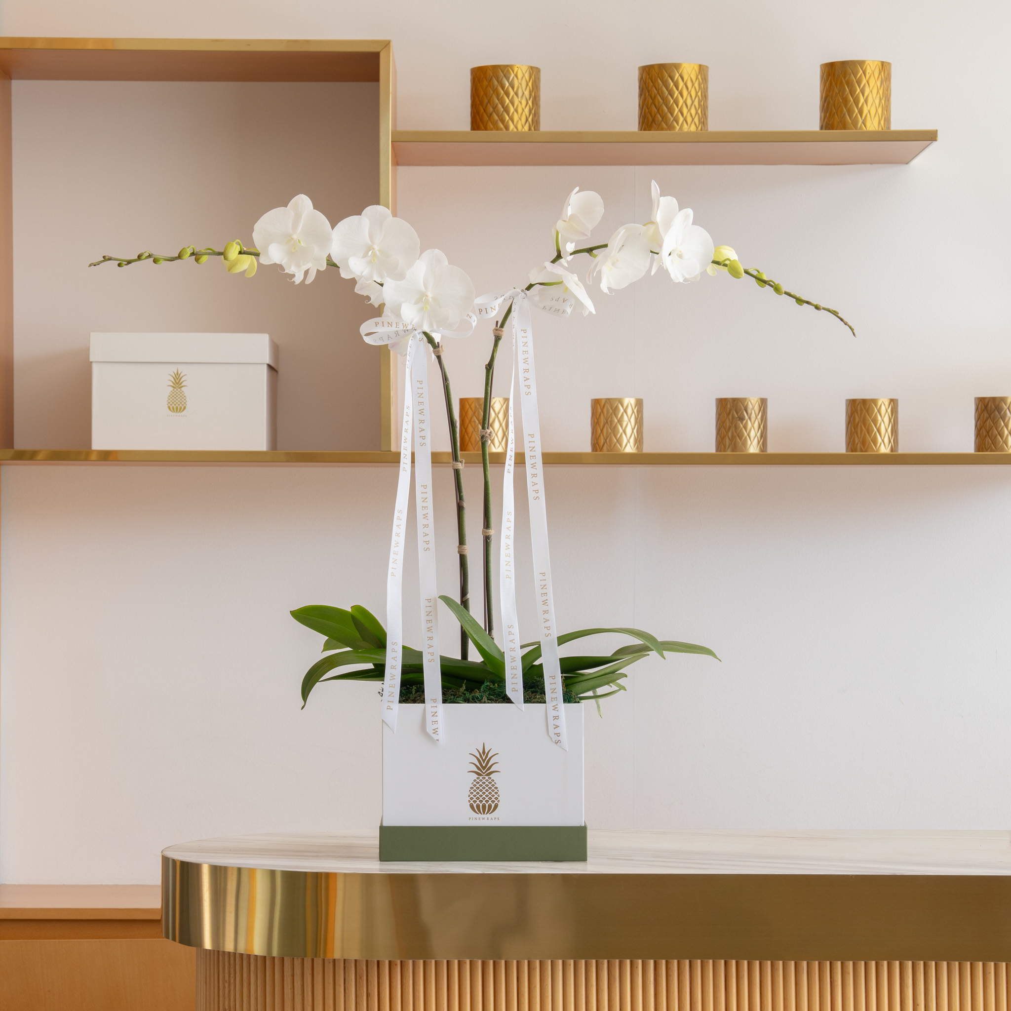 Orchid Box Double White