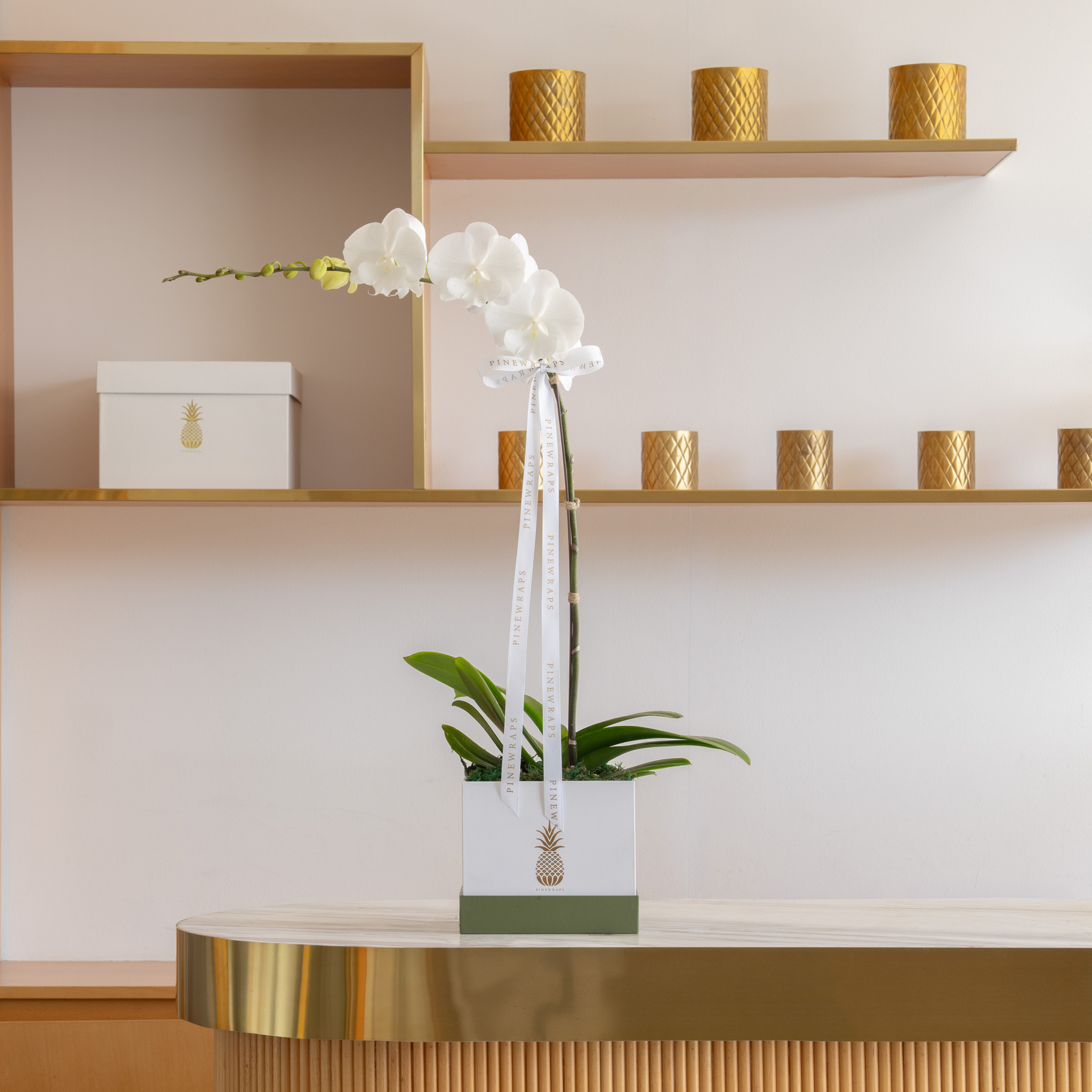 Orchid Box Single - White