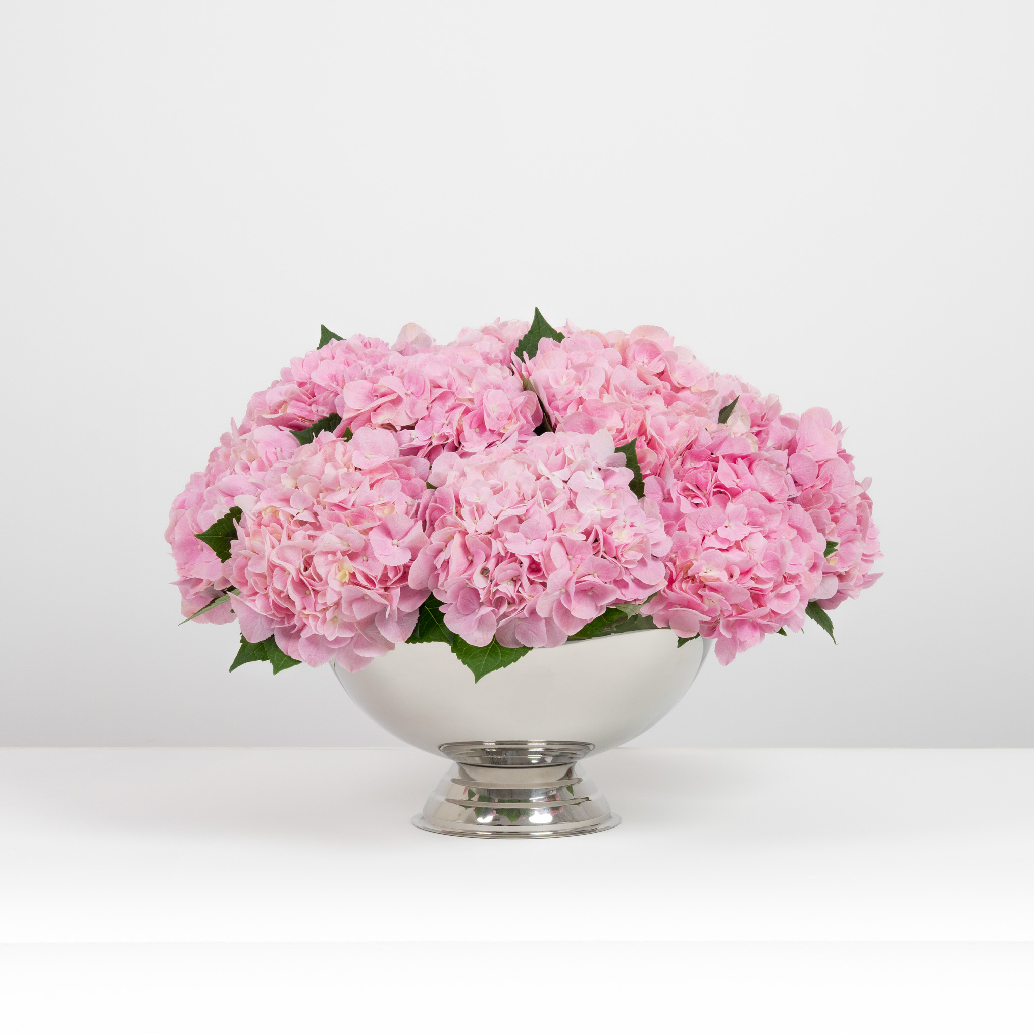Pink Blushing Bloom