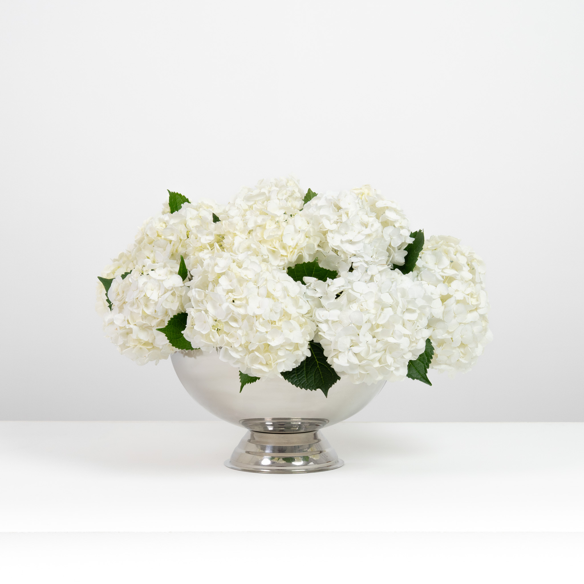 White Blushing Bloom