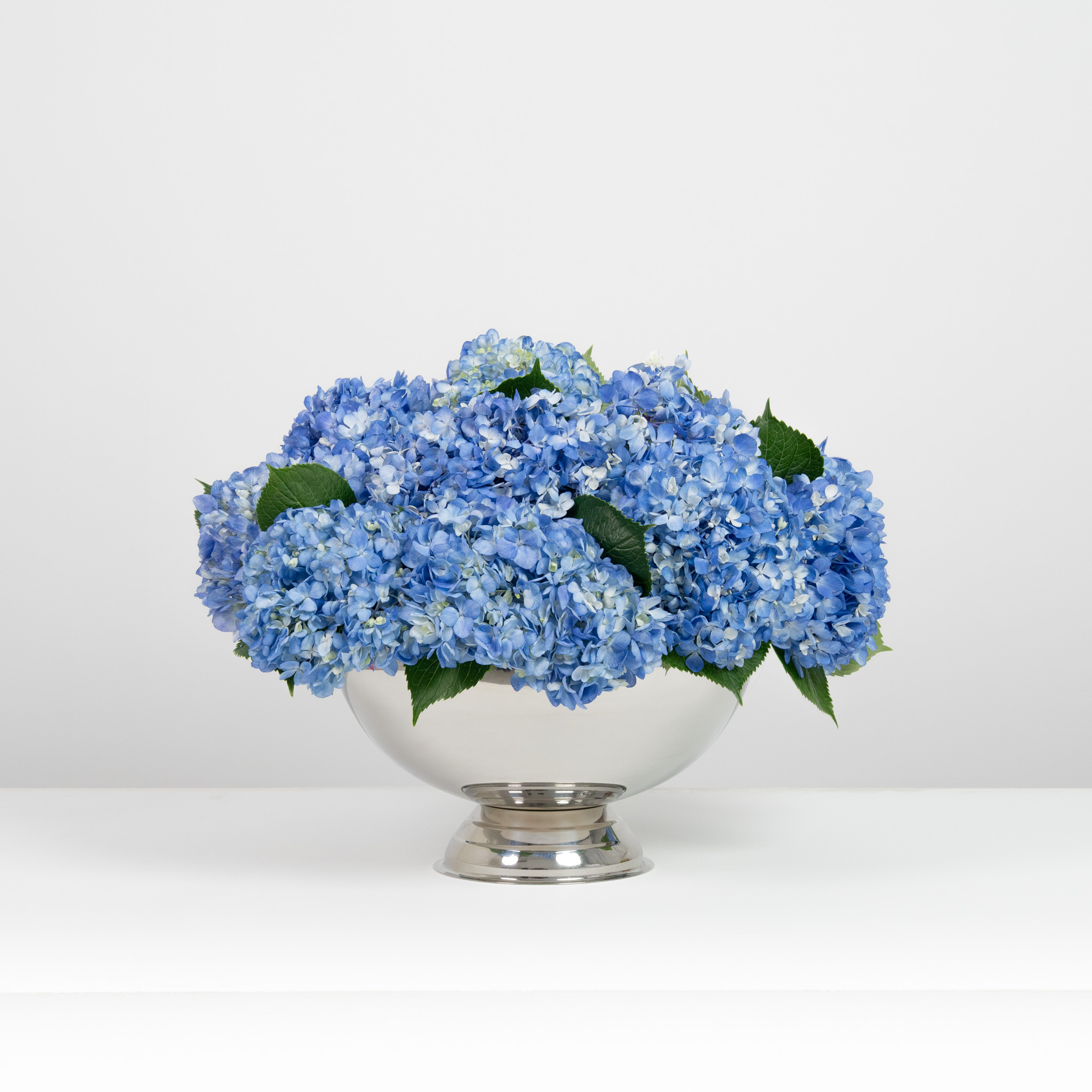 Blue Blushing Bloom