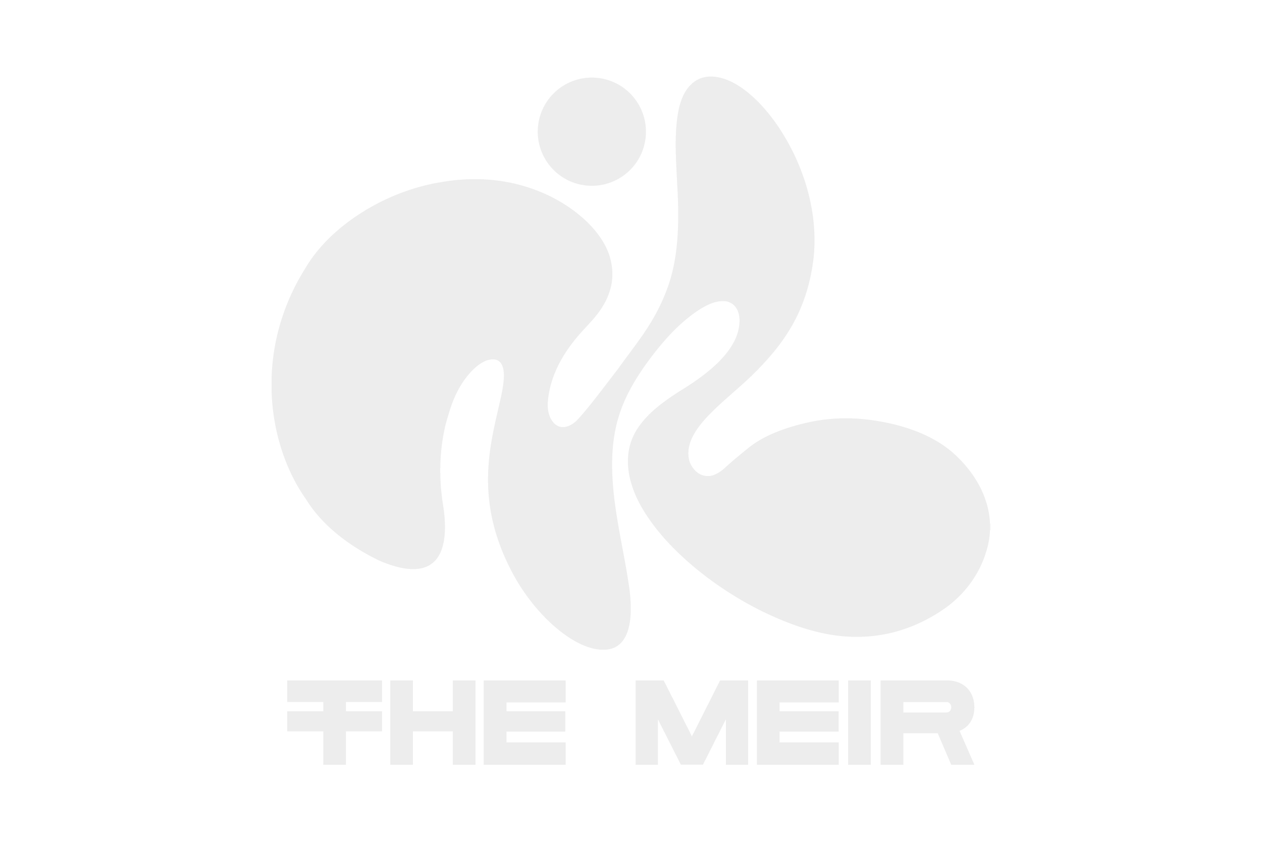 Welcome to The Meir