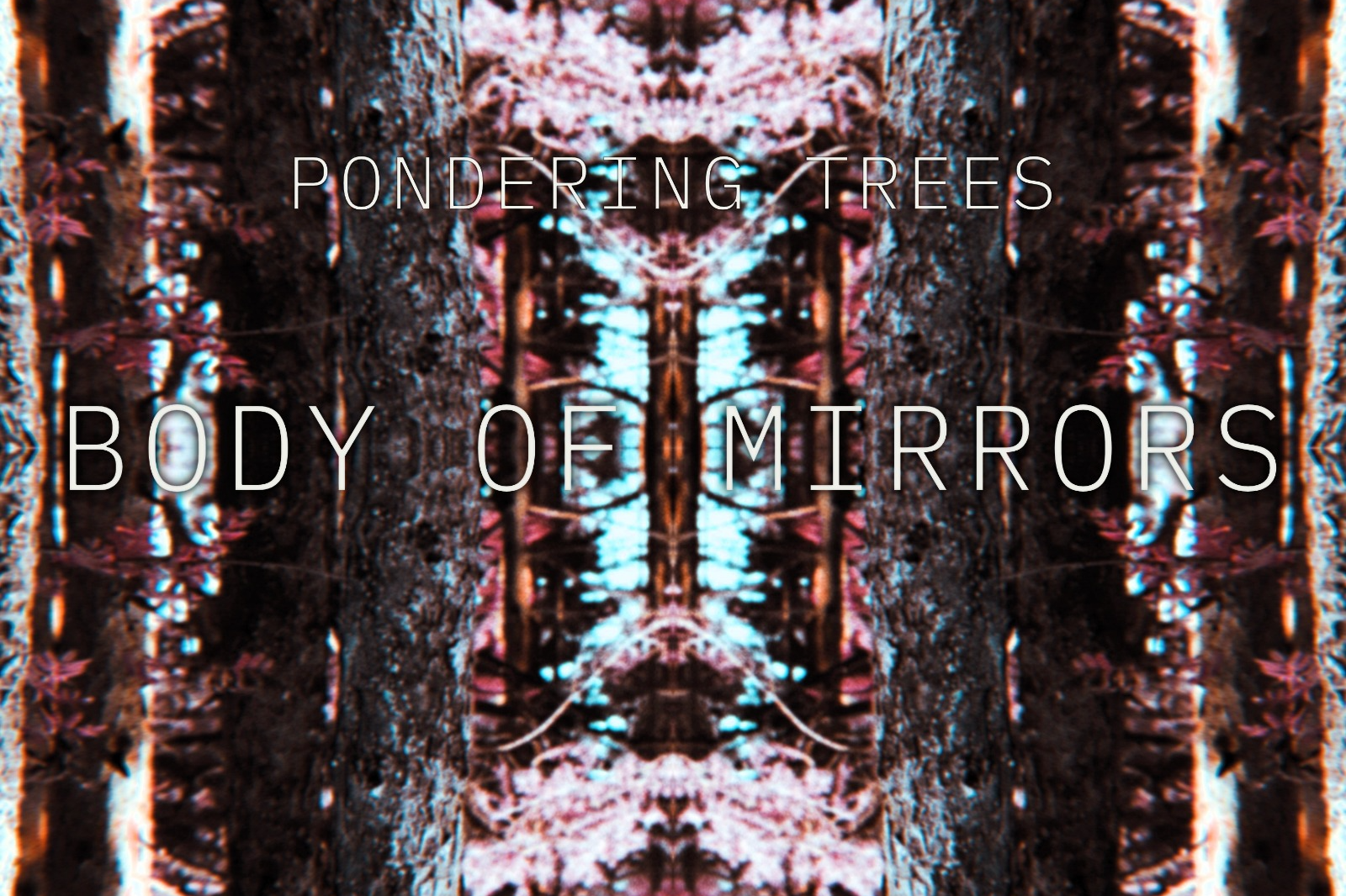 Welcome to Pondering Trees